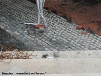 Imagine atasata: Reabilitare centru - 2016.03.05 - 16.jpg